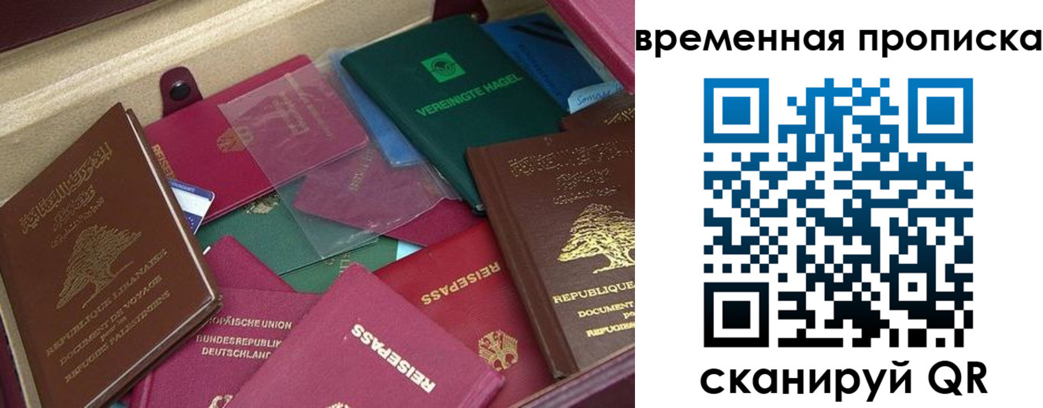 прописка в Карабаново